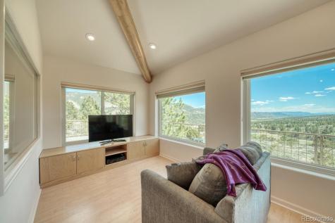 37643 Lake View Drive Buena Vista CO 81211