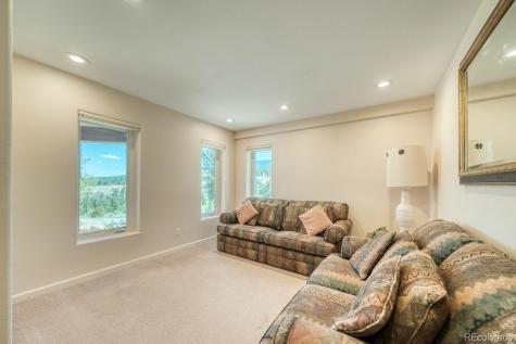 37643 Lake View Drive Buena Vista CO 81211