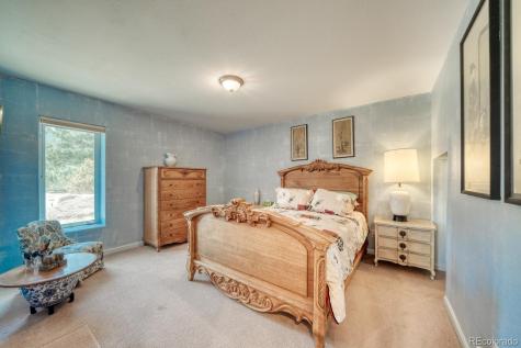 37643 Lake View Drive Buena Vista CO 81211