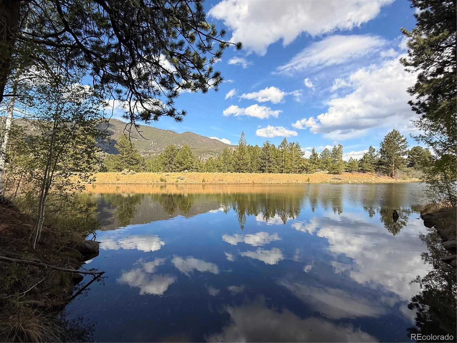 37643 Lake View Drive Buena Vista CO 81211