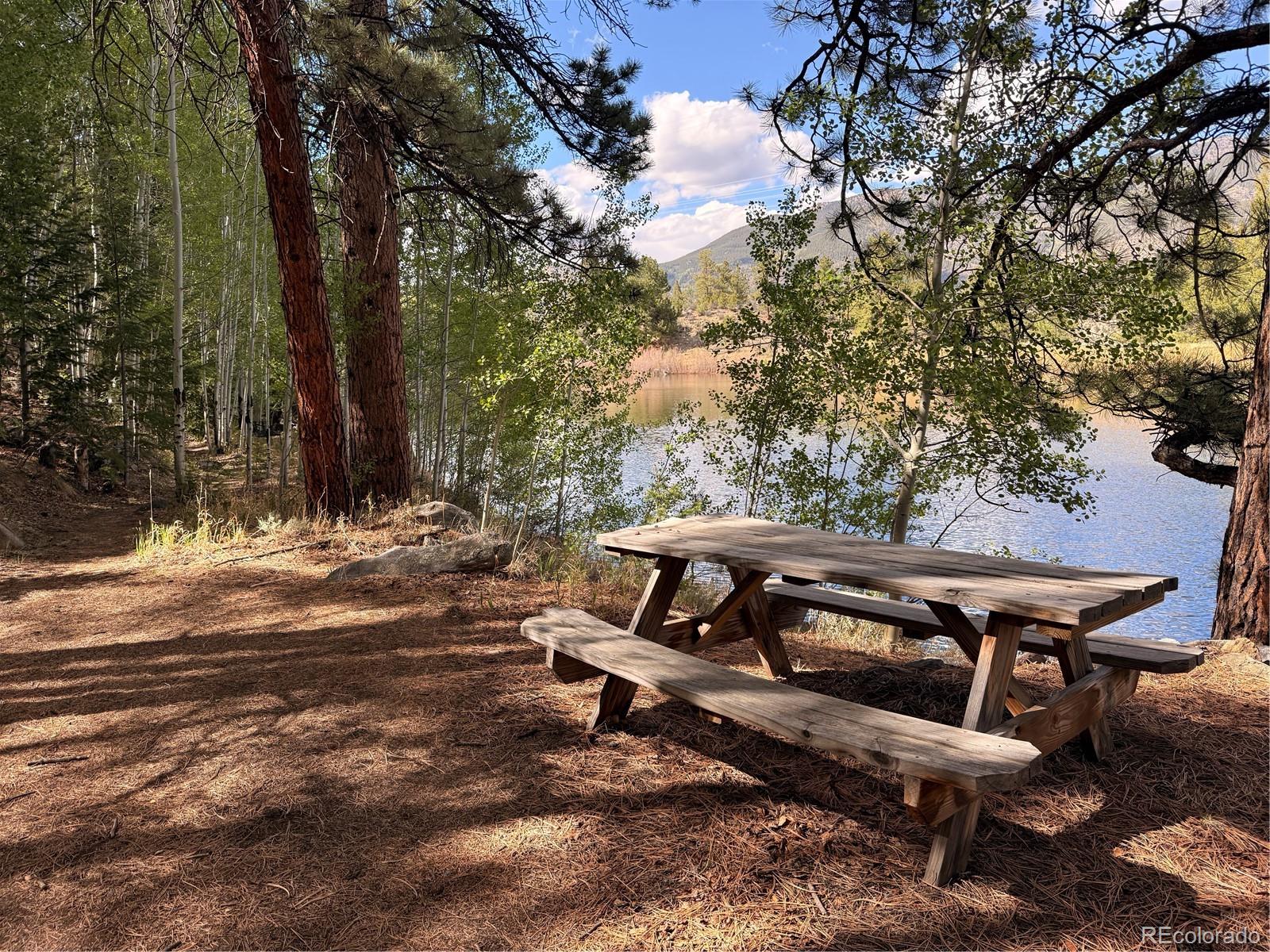 37643 Lake View Drive Buena Vista CO 81211