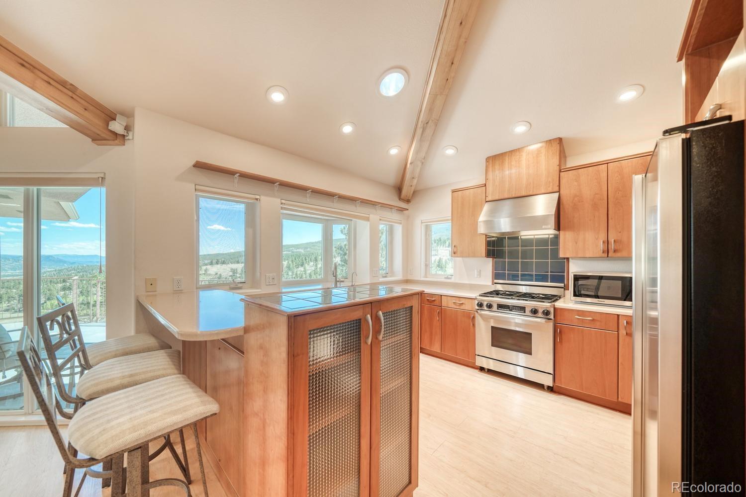 37643 Lake View Drive Buena Vista CO 81211