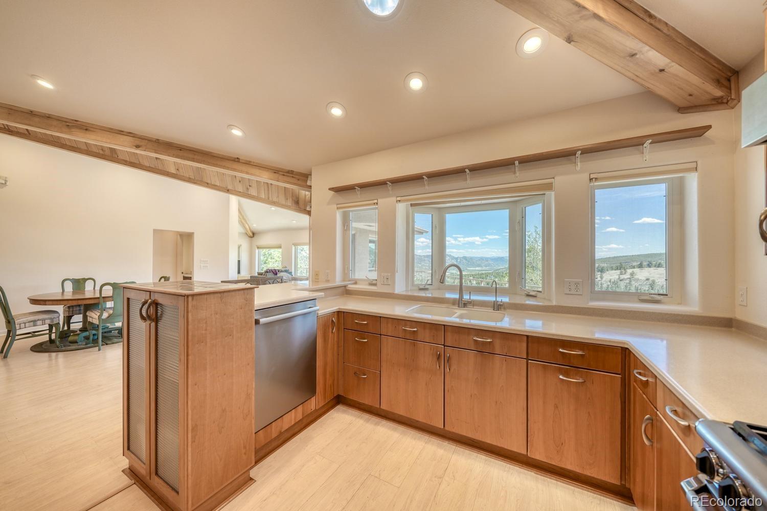 37643 Lake View Drive Buena Vista CO 81211