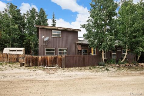 111 W Buckskin Road Alma CO 80420