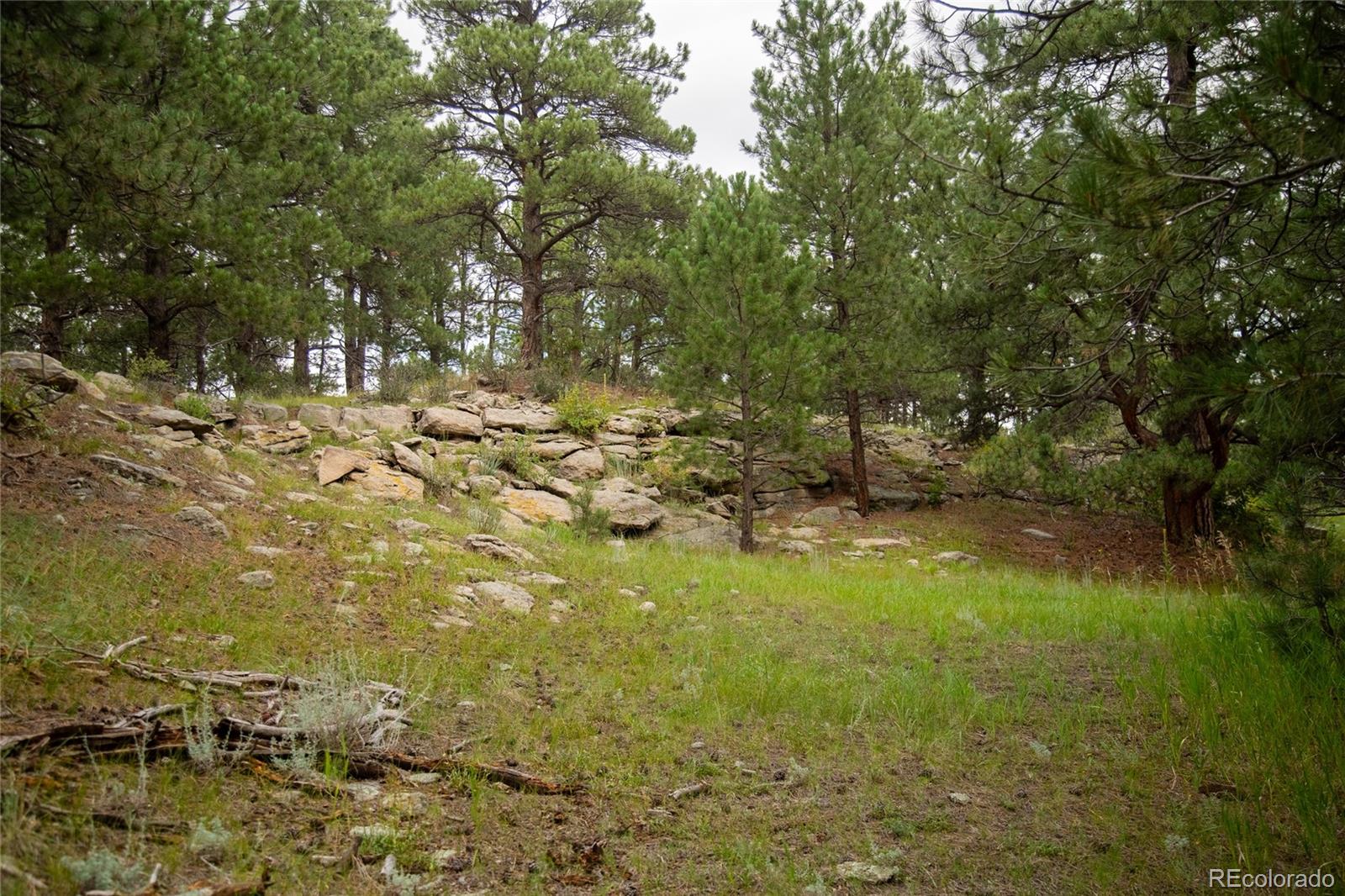 11503 E Smith Road Elbert CO 80106
