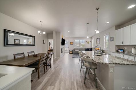 8908 Birch Run Lane Parker CO 80134