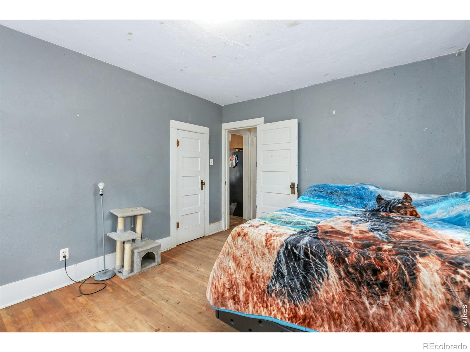 419 Cottonwood Avenue Eaton CO 80615