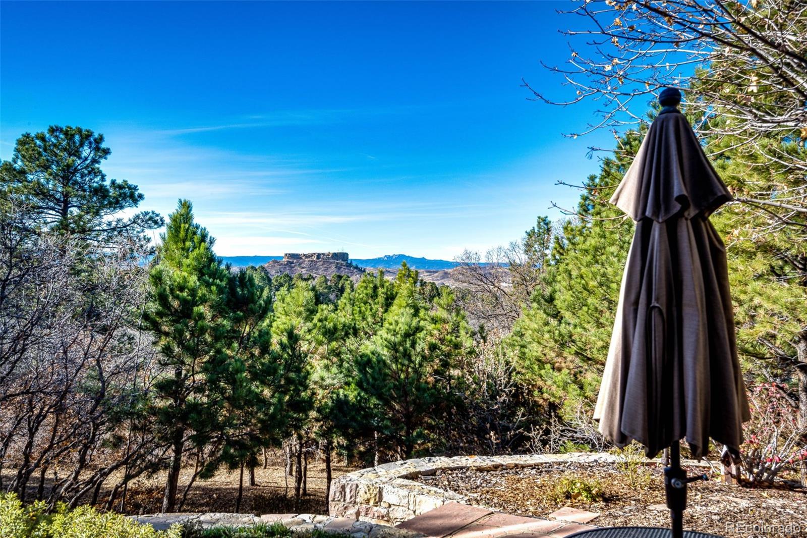1918 Foxfield Drive Castle Rock CO 80104