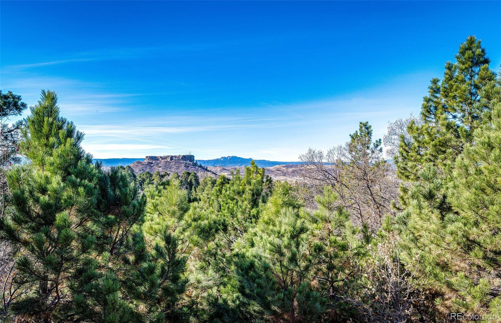 1918 Foxfield Drive Castle Rock CO 80104