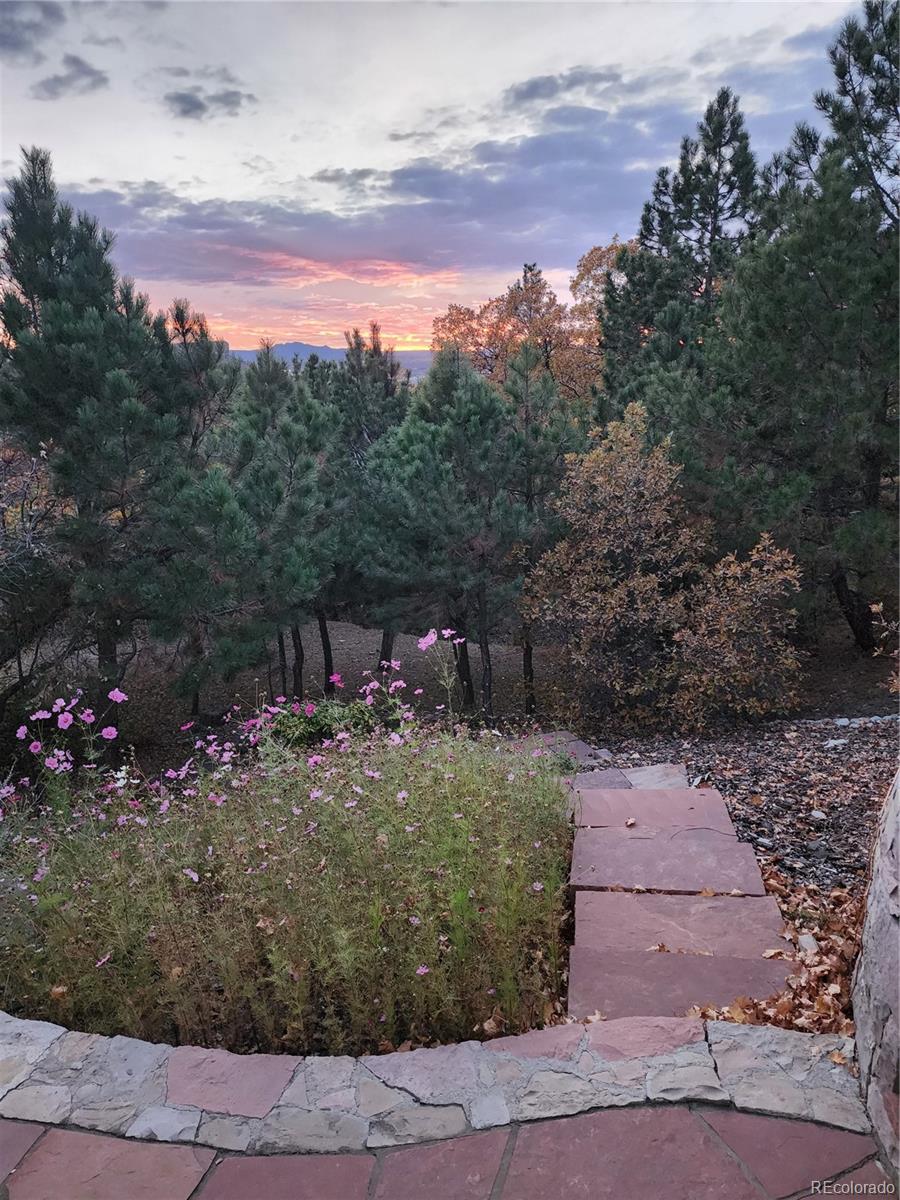 1918 Foxfield Drive Castle Rock CO 80104