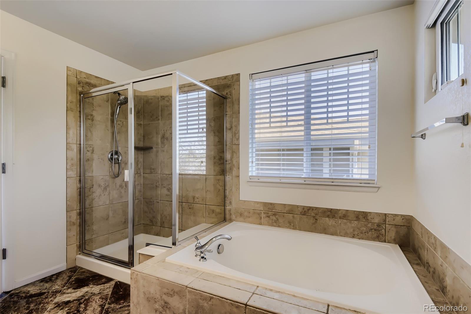 10805 Hickory Ridge Street Highlands Ranch CO 80126