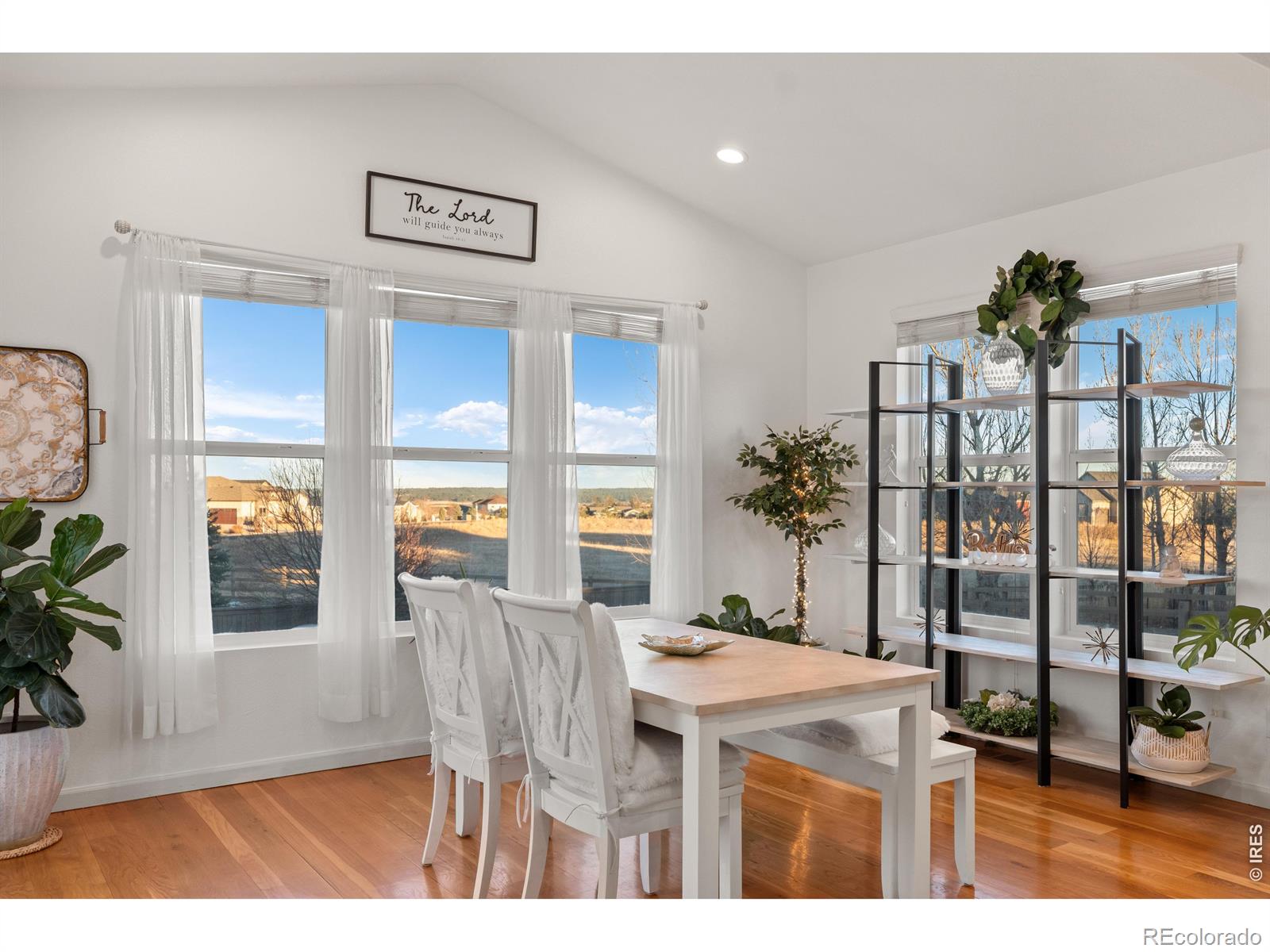 784 Ellsworth Court Castle Rock CO 80104