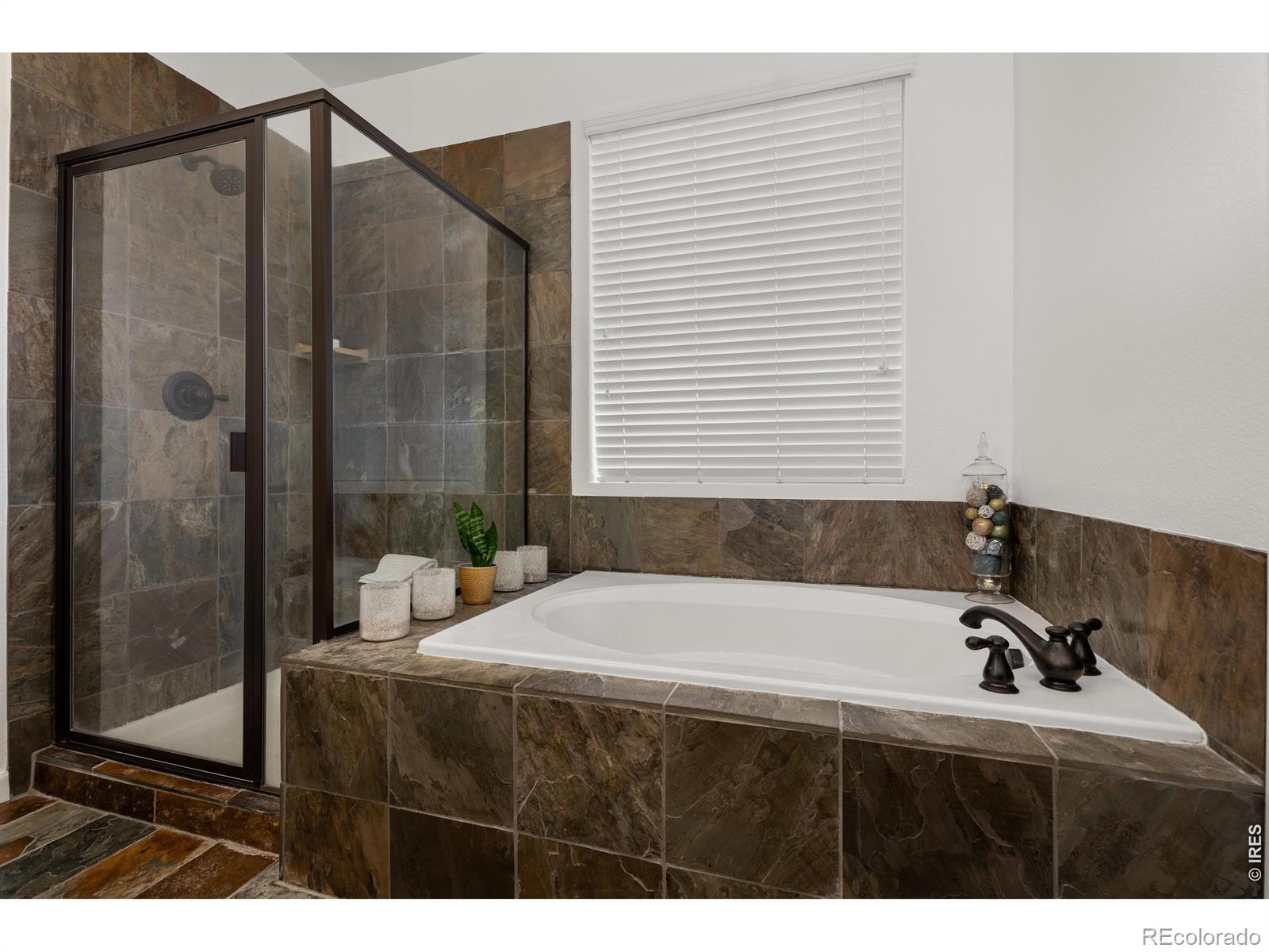 784 Ellsworth Court Castle Rock CO 80104