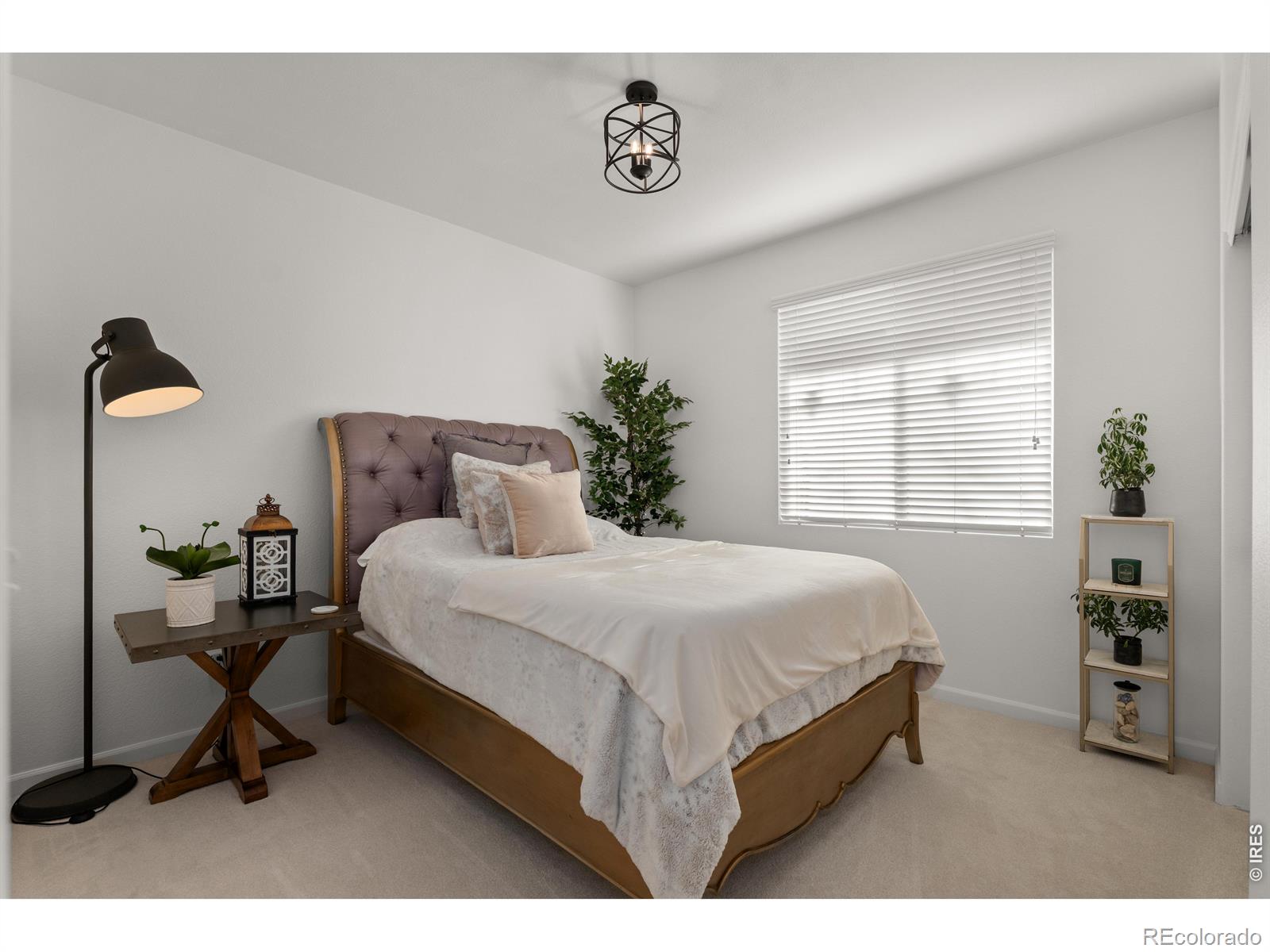 784 Ellsworth Court Castle Rock CO 80104