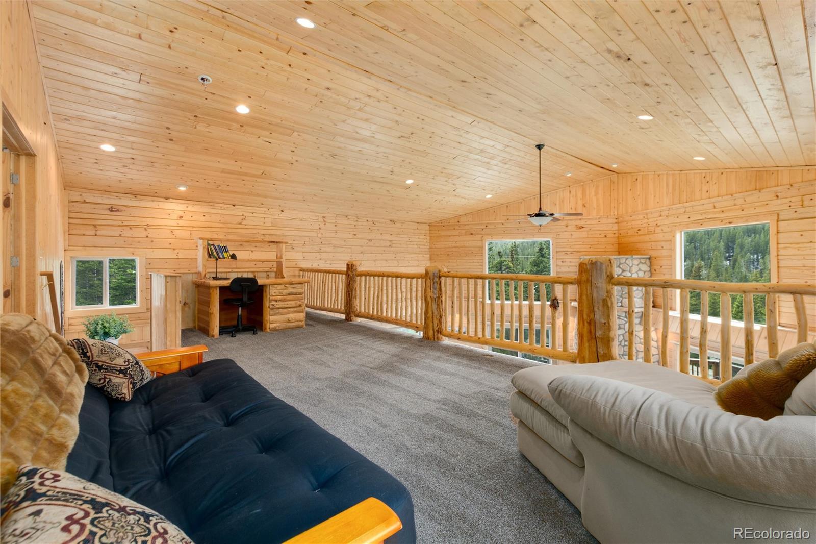 696 Brook Drive Idaho Springs CO 80452