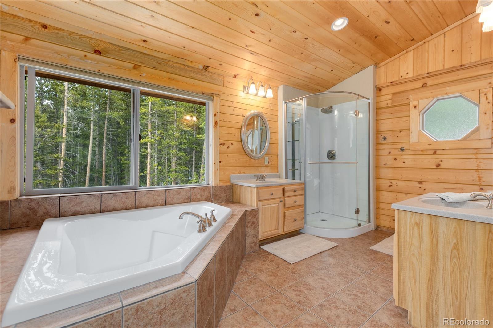 696 Brook Drive Idaho Springs CO 80452
