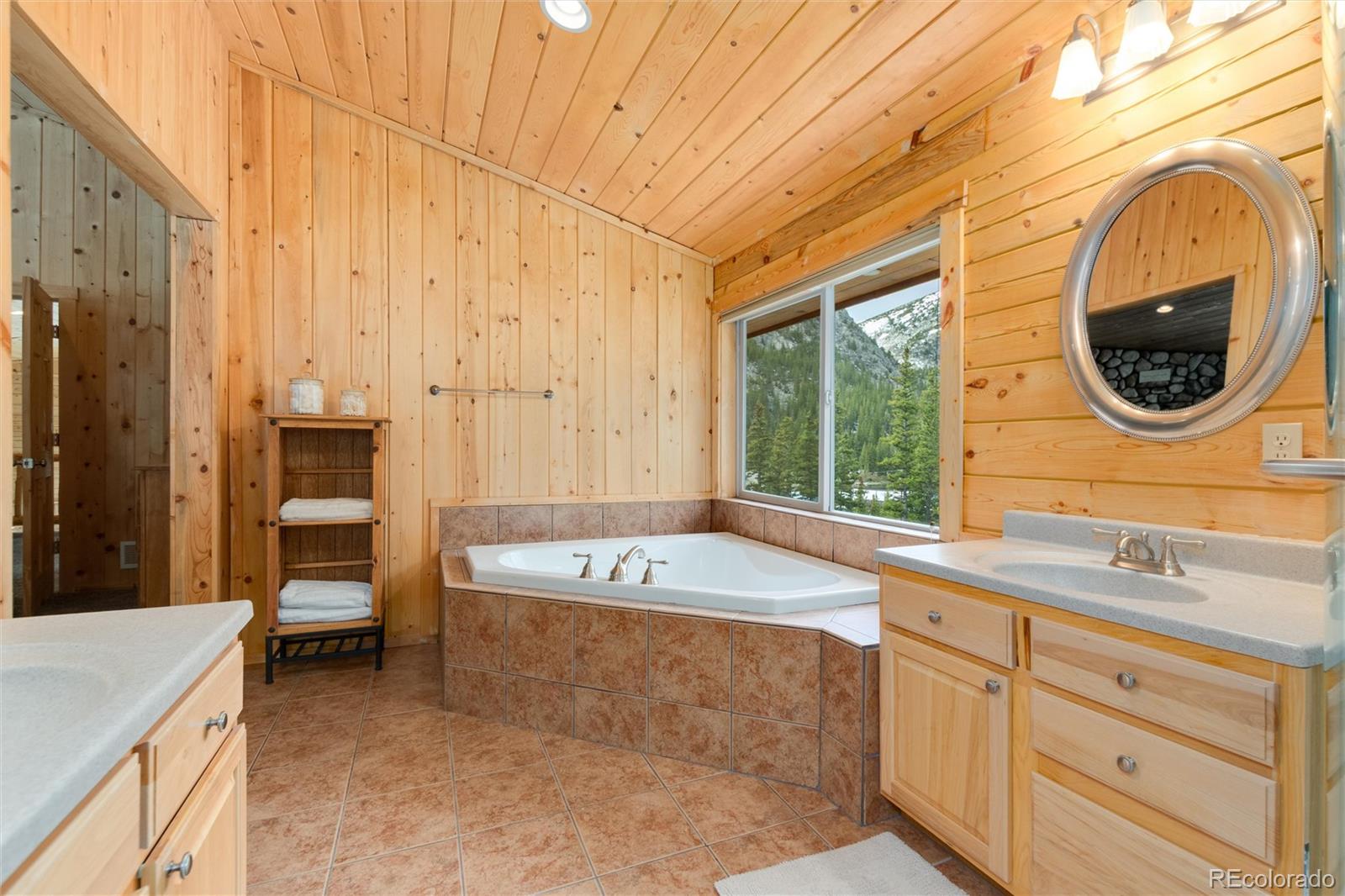 696 Brook Drive Idaho Springs CO 80452