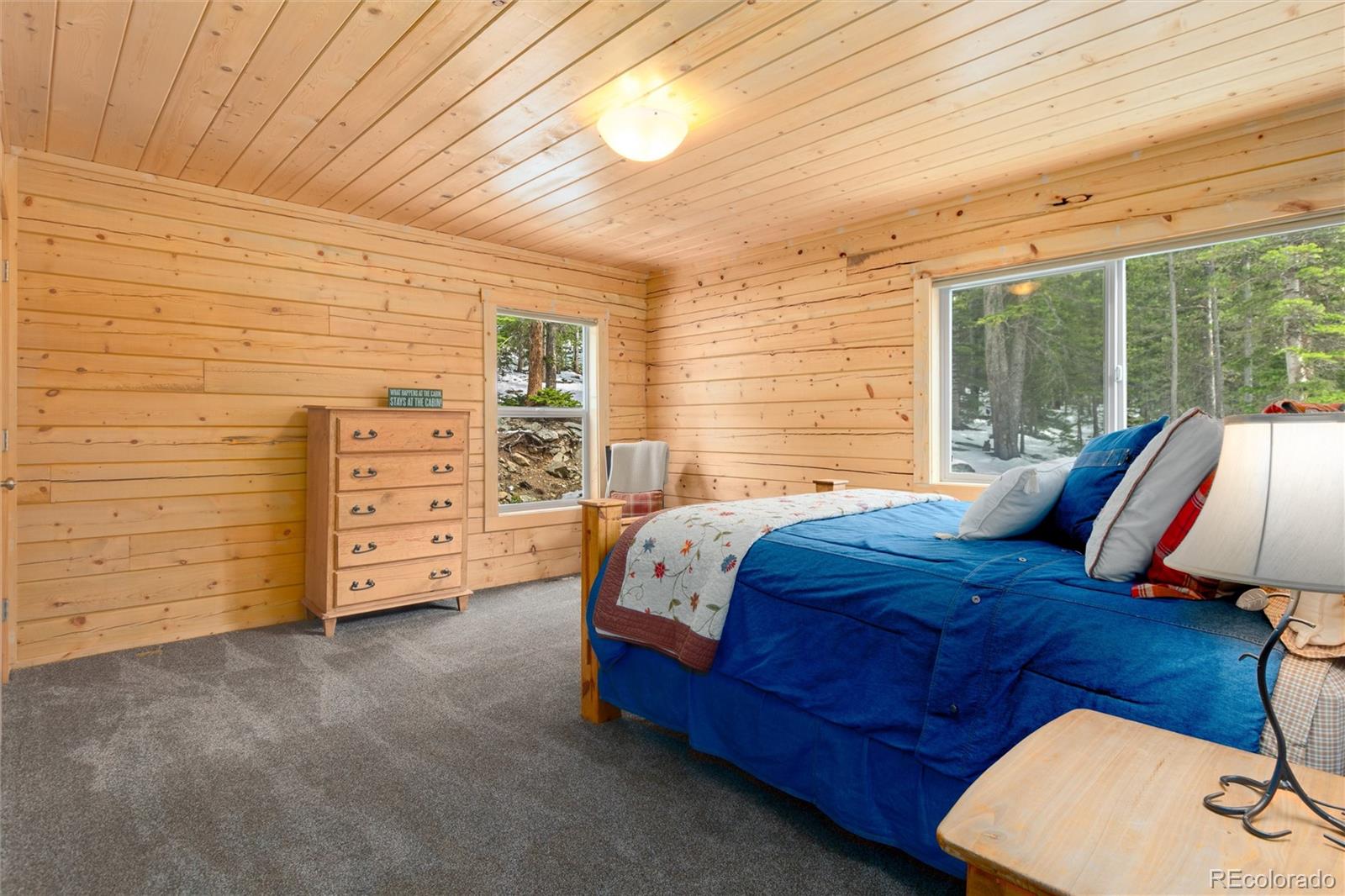 696 Brook Drive Idaho Springs CO 80452