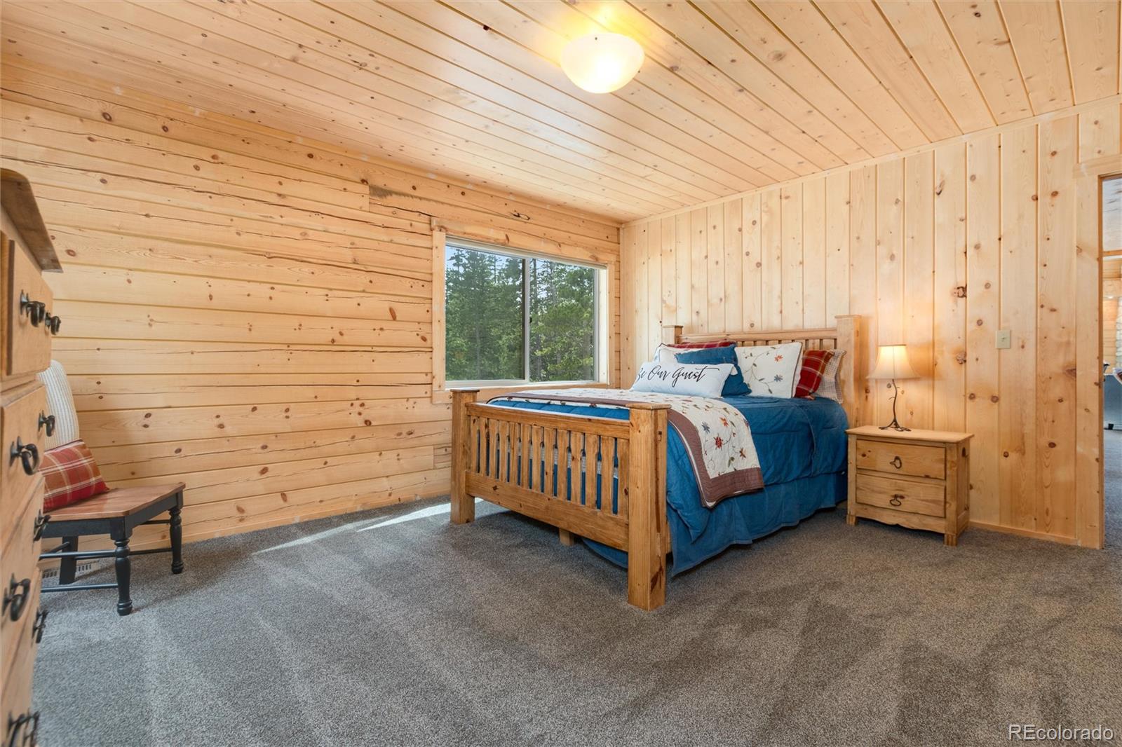 696 Brook Drive Idaho Springs CO 80452
