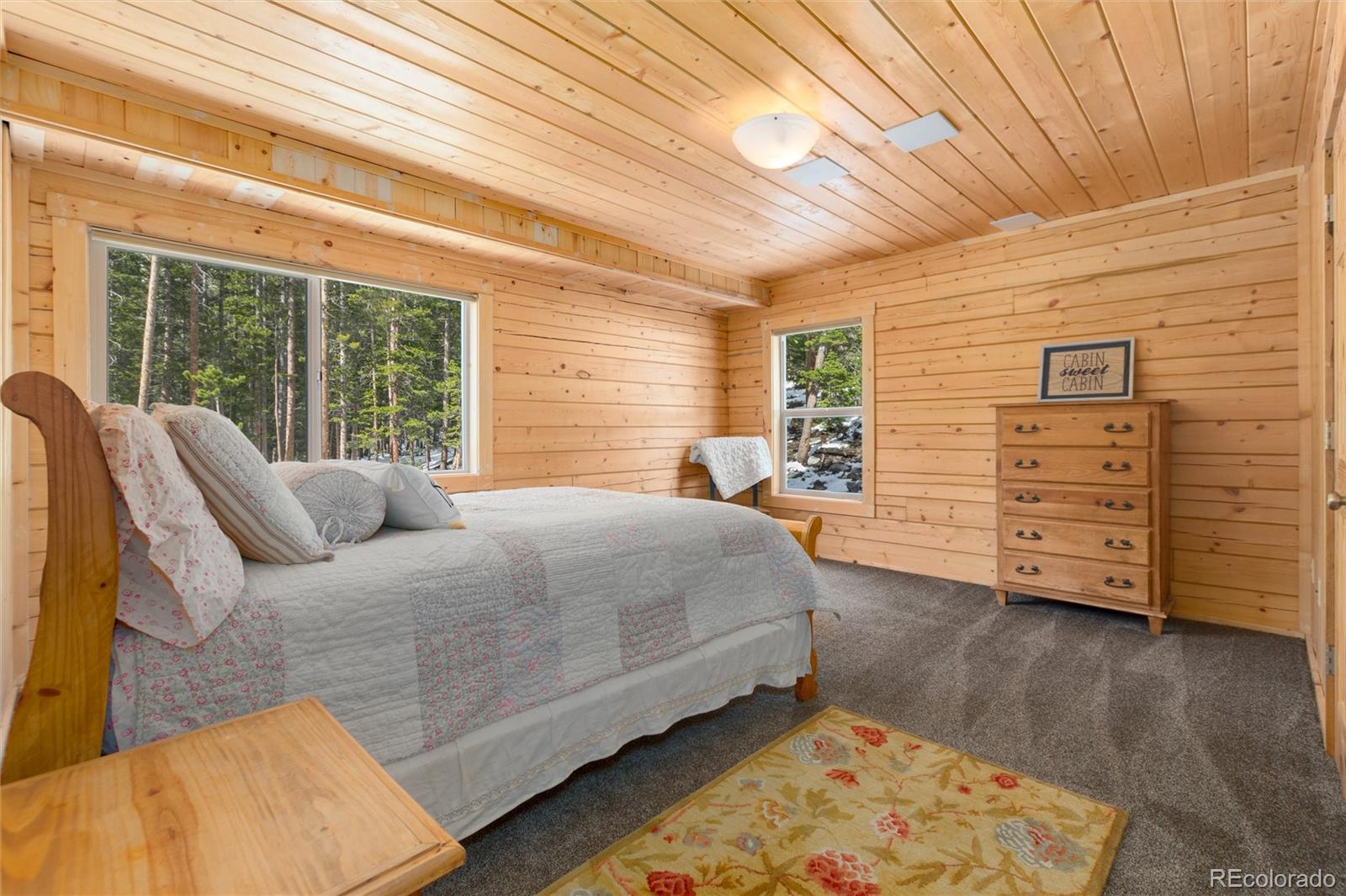 696 Brook Drive Idaho Springs CO 80452