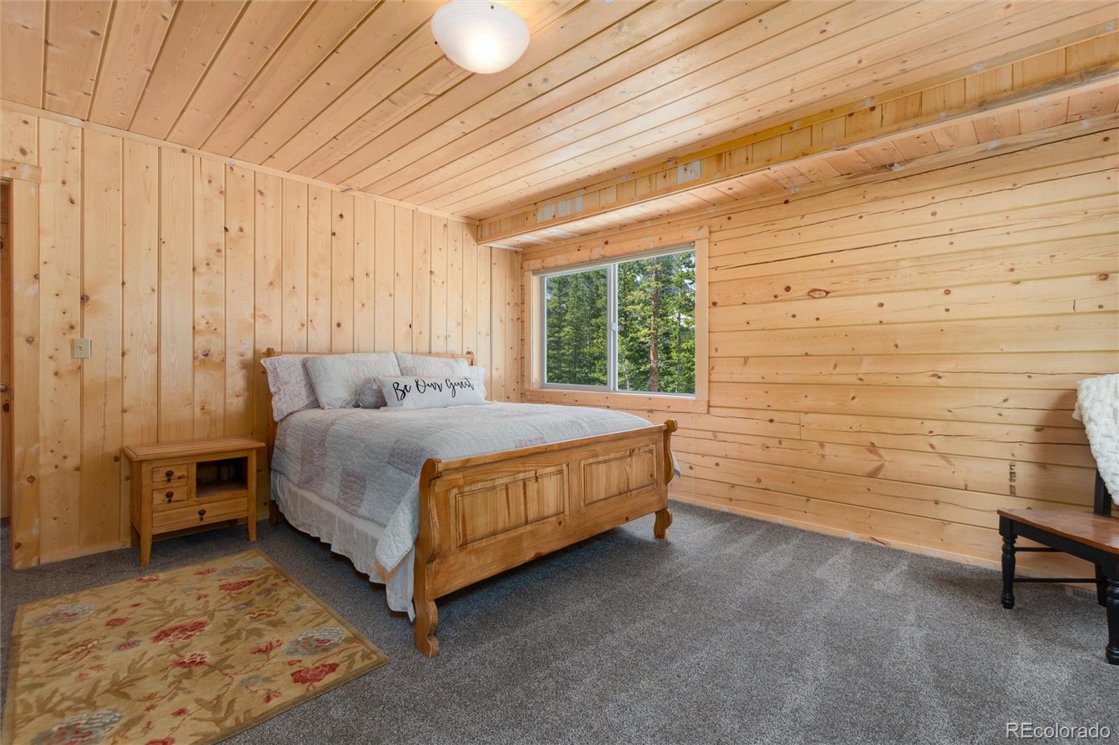 696 Brook Drive Idaho Springs CO 80452
