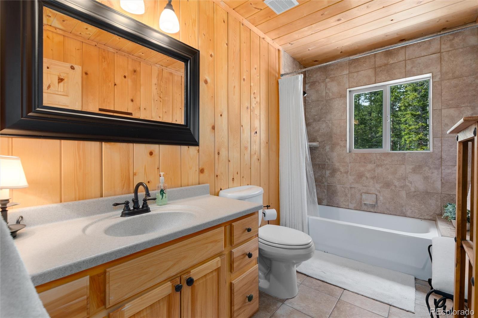 696 Brook Drive Idaho Springs CO 80452