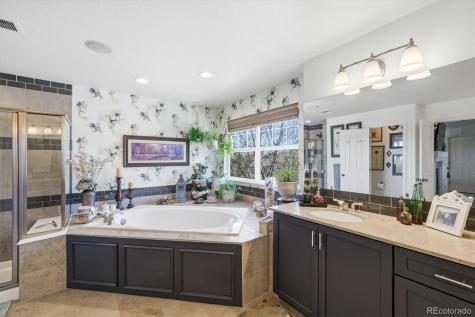 1460 Stonehill Court Castle Rock CO 80104
