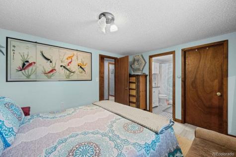 216 Crossman Avenue Buena Vista CO 81211