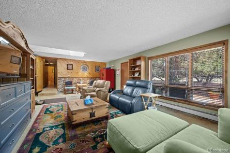 216 Crossman Avenue Buena Vista CO 81211