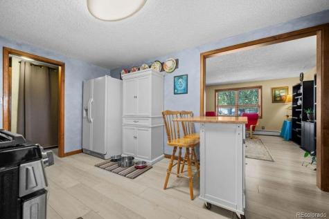 216 Crossman Avenue Buena Vista CO 81211