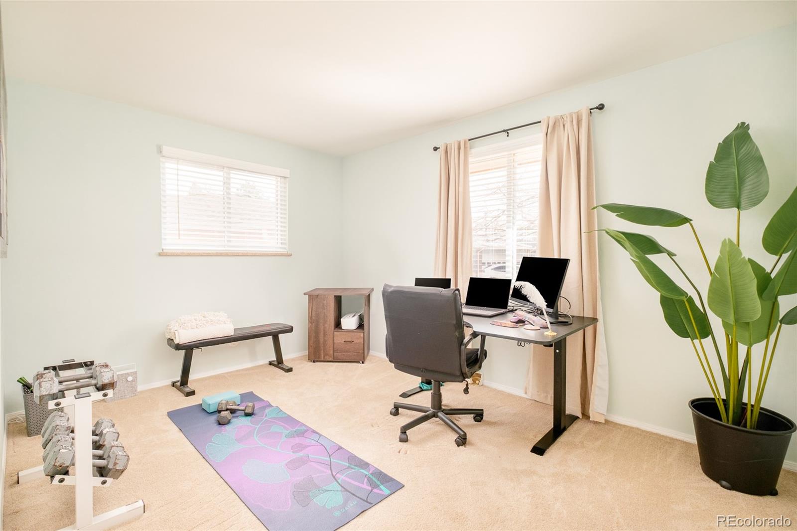 973 S Holland Street Lakewood CO 80226