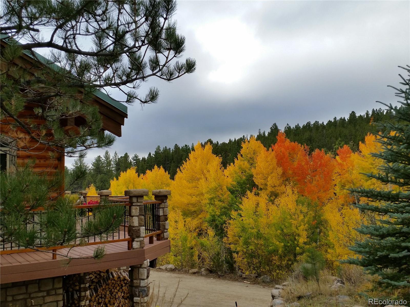 19000 Mountain View Drive Buena Vista CO 81211
