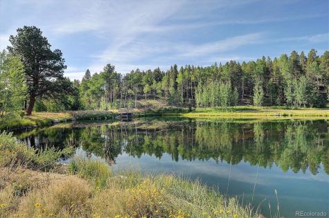 19000 Mountain View Drive Buena Vista CO 81211