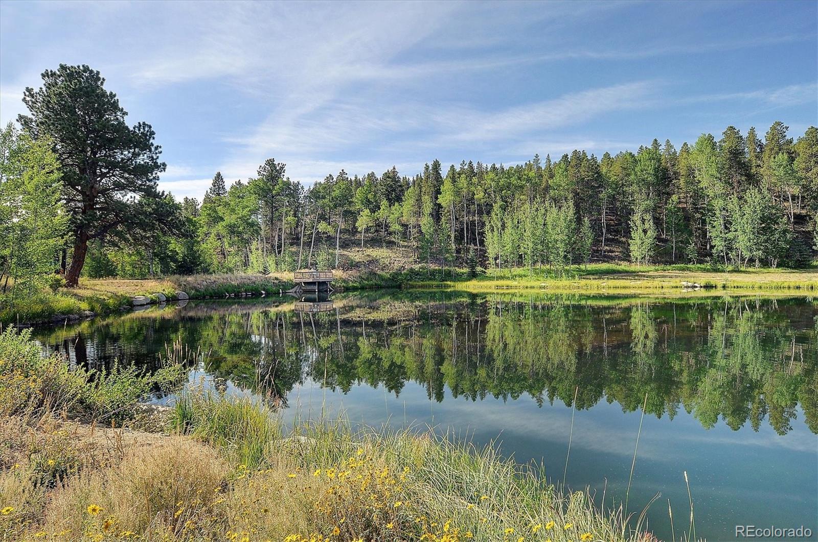 19000 Mountain View Drive Buena Vista CO 81211