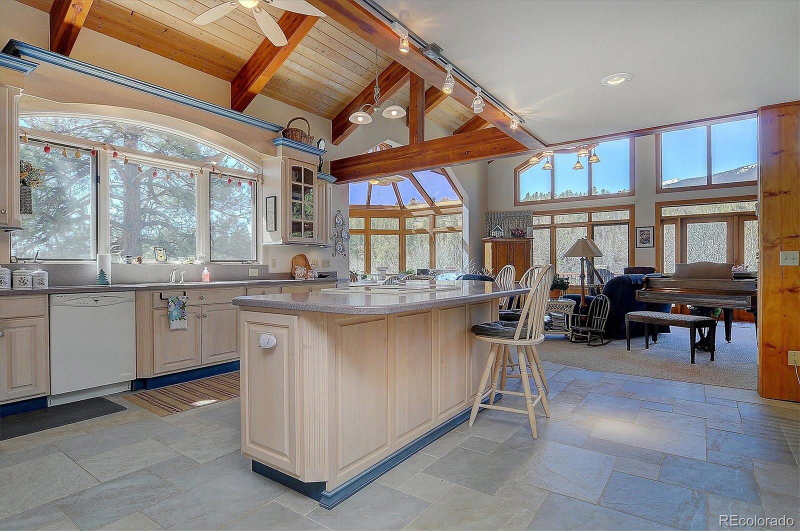 19000 Mountain View Drive Buena Vista CO 81211