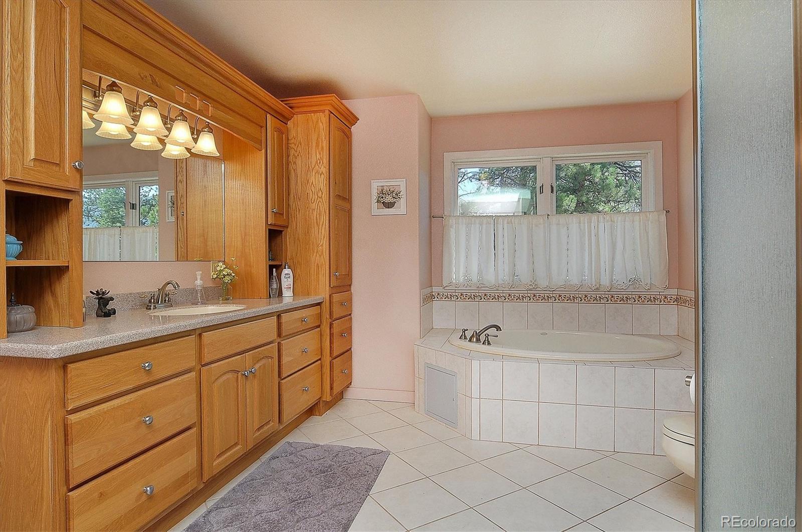 19000 Mountain View Drive Buena Vista CO 81211