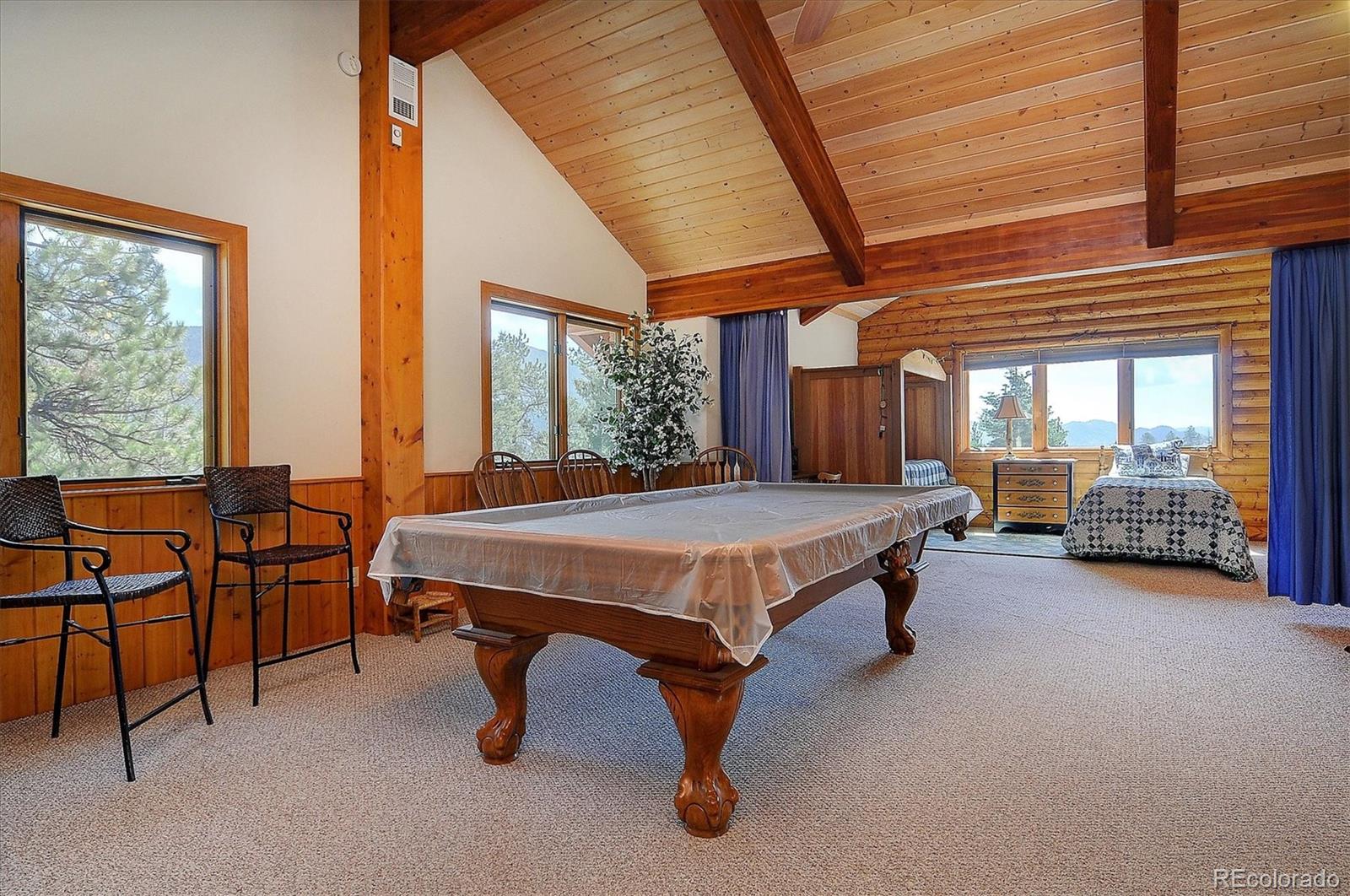 19000 Mountain View Drive Buena Vista CO 81211