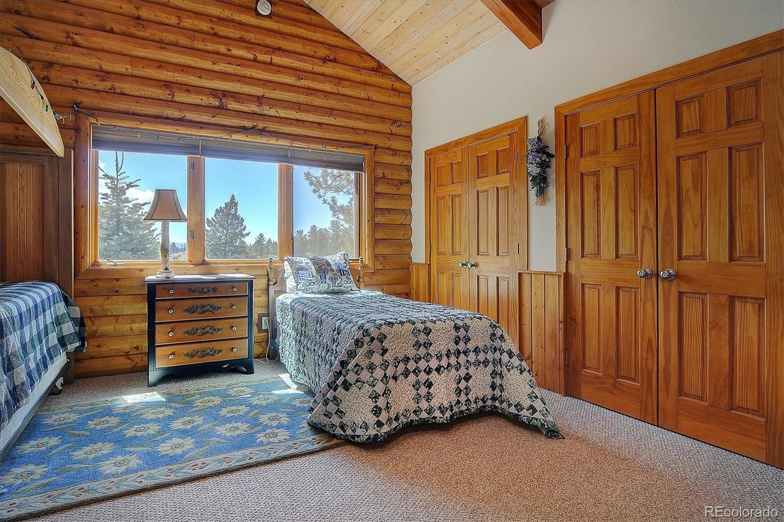 19000 Mountain View Drive Buena Vista CO 81211