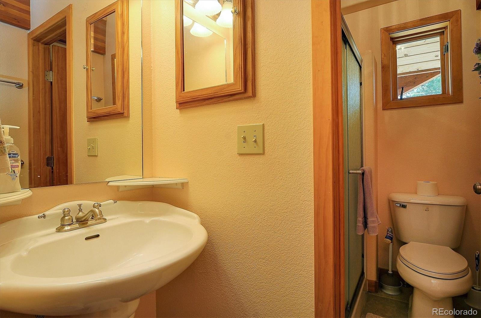 19000 Mountain View Drive Buena Vista CO 81211