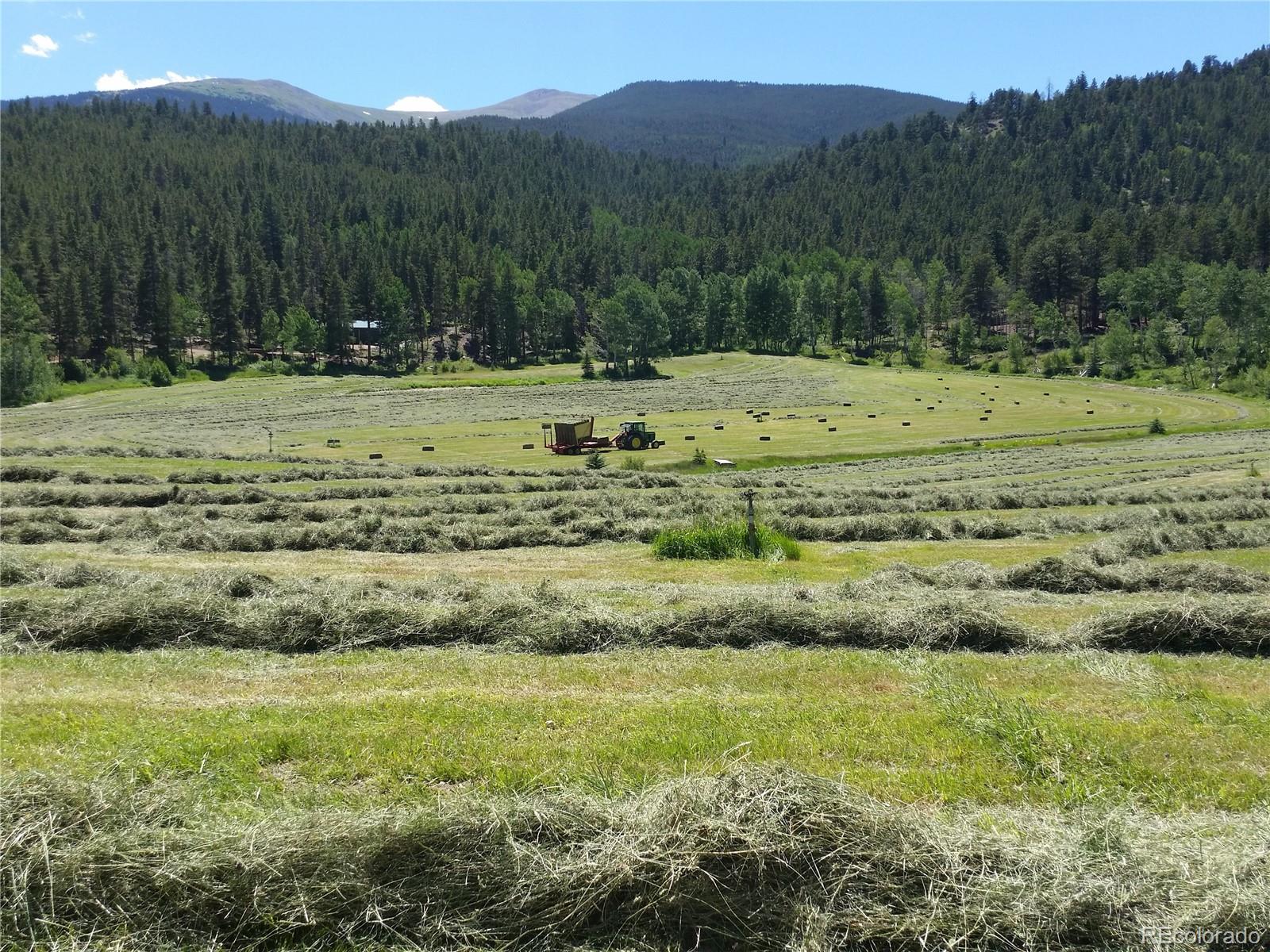 19000 Mountain View Drive Buena Vista CO 81211