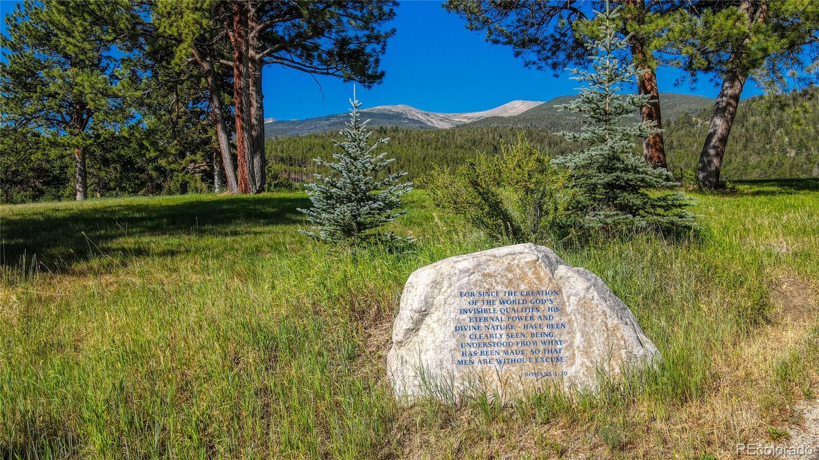 19000 Mountain View Drive Buena Vista CO 81211