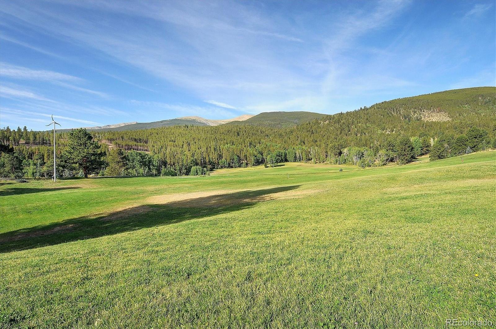 19000 Mountain View Drive Buena Vista CO 81211