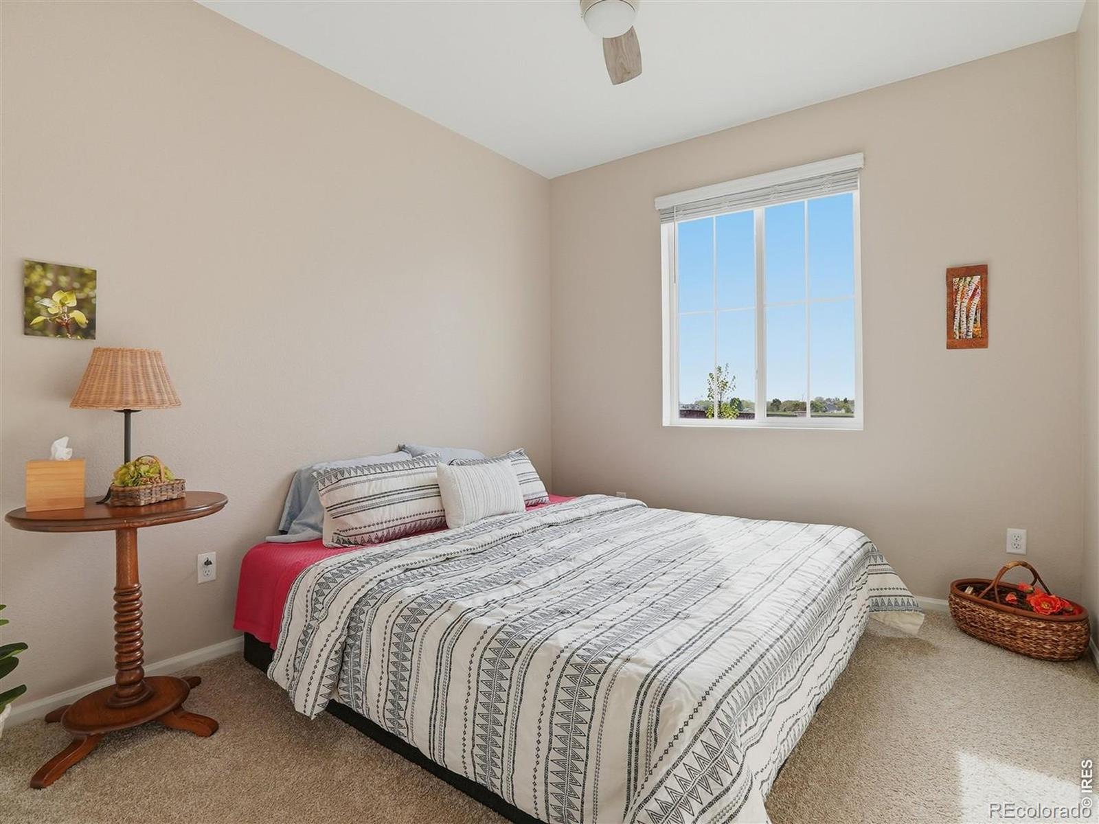 4551 Goldflower Drive Johnstown CO 80534