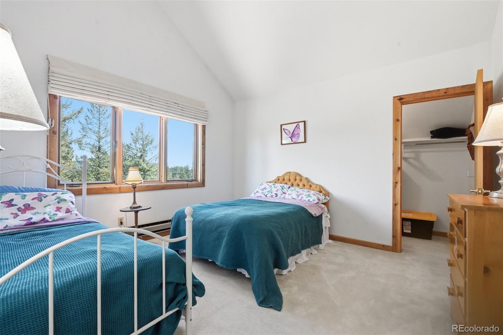 107 Ox Yoke Lane Bailey CO 80421