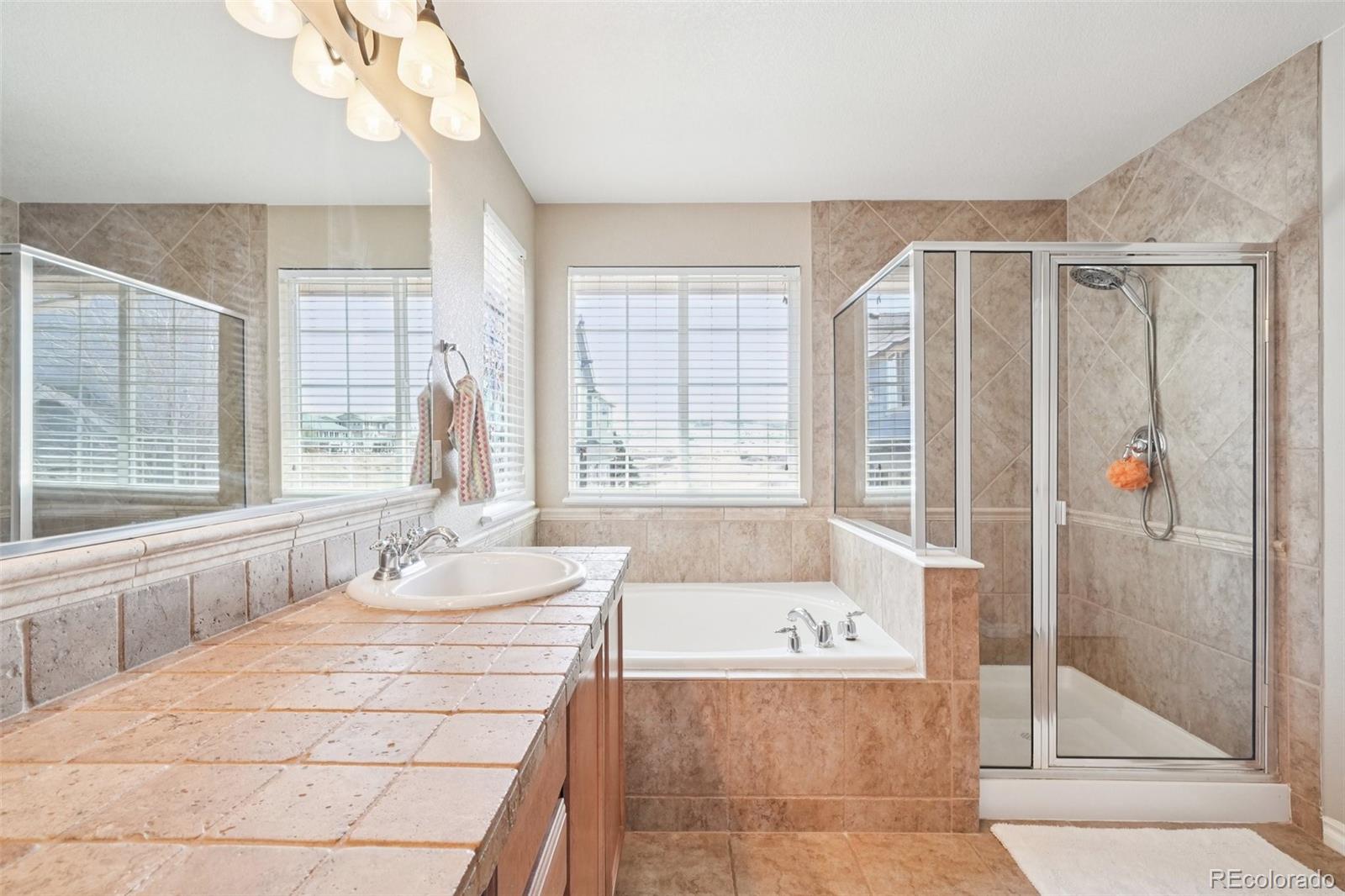 10916 Towerbridge Road Highlands Ranch CO 80130