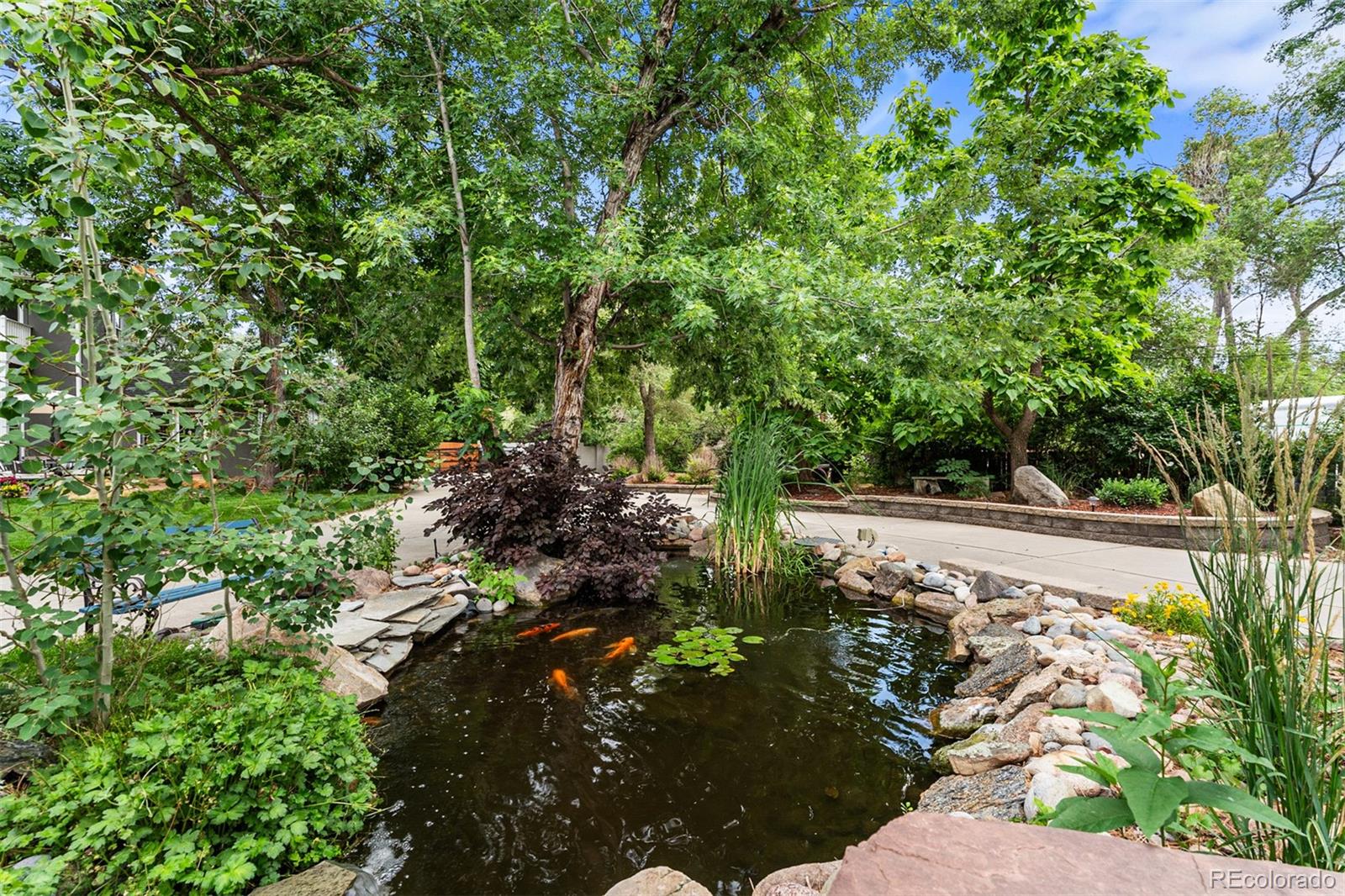 1055 Garrison Street Lakewood CO 80215