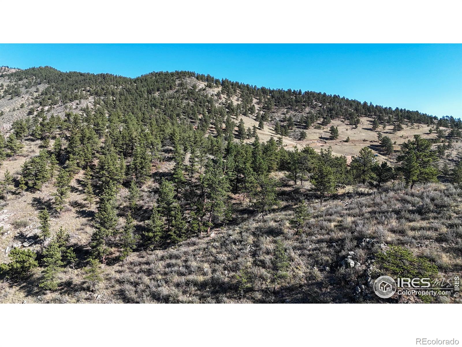 2420 Ponderosa Hill Road Lyons CO 80540
