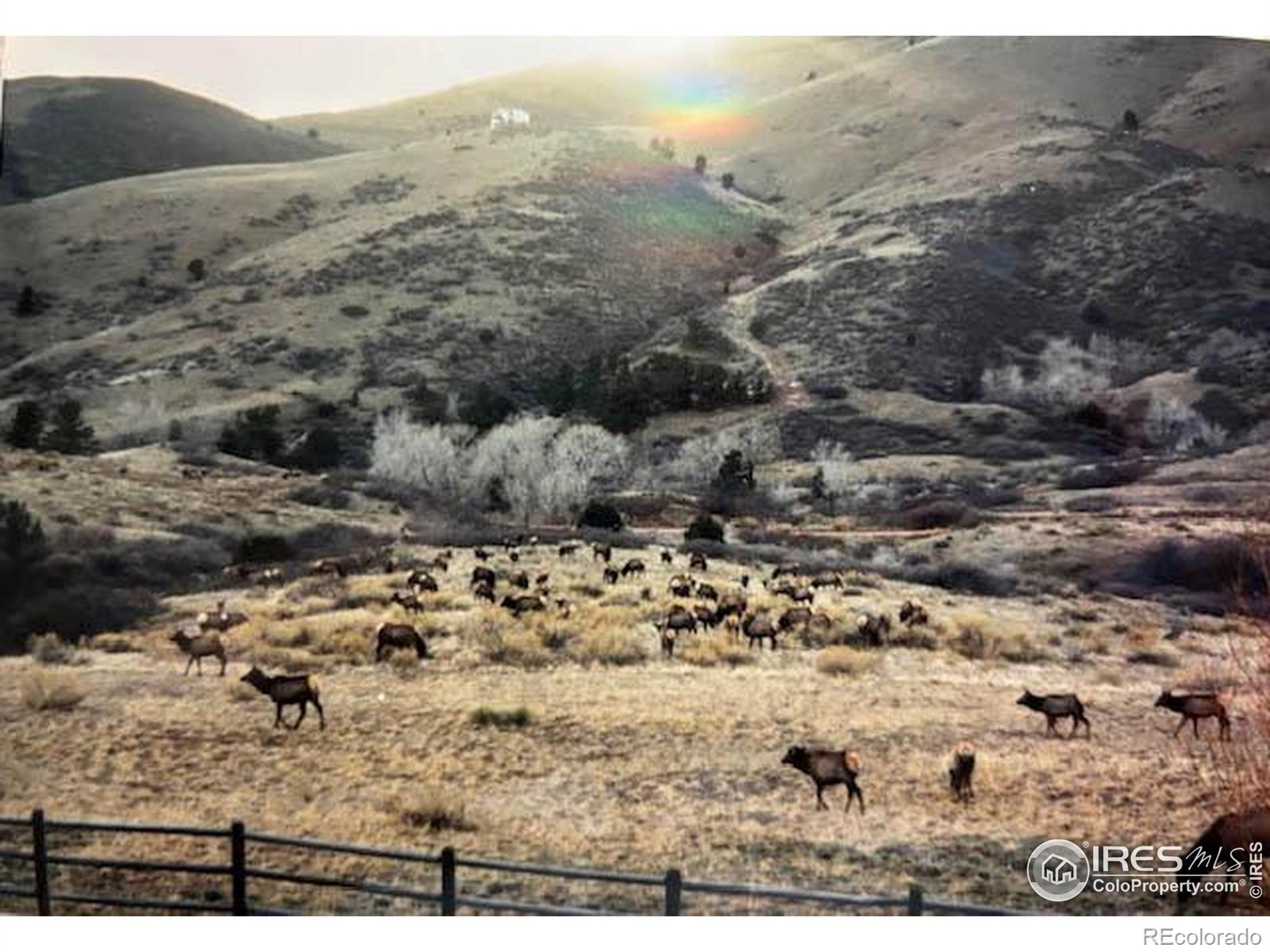 2420 Ponderosa Hill Road Lyons CO 80540