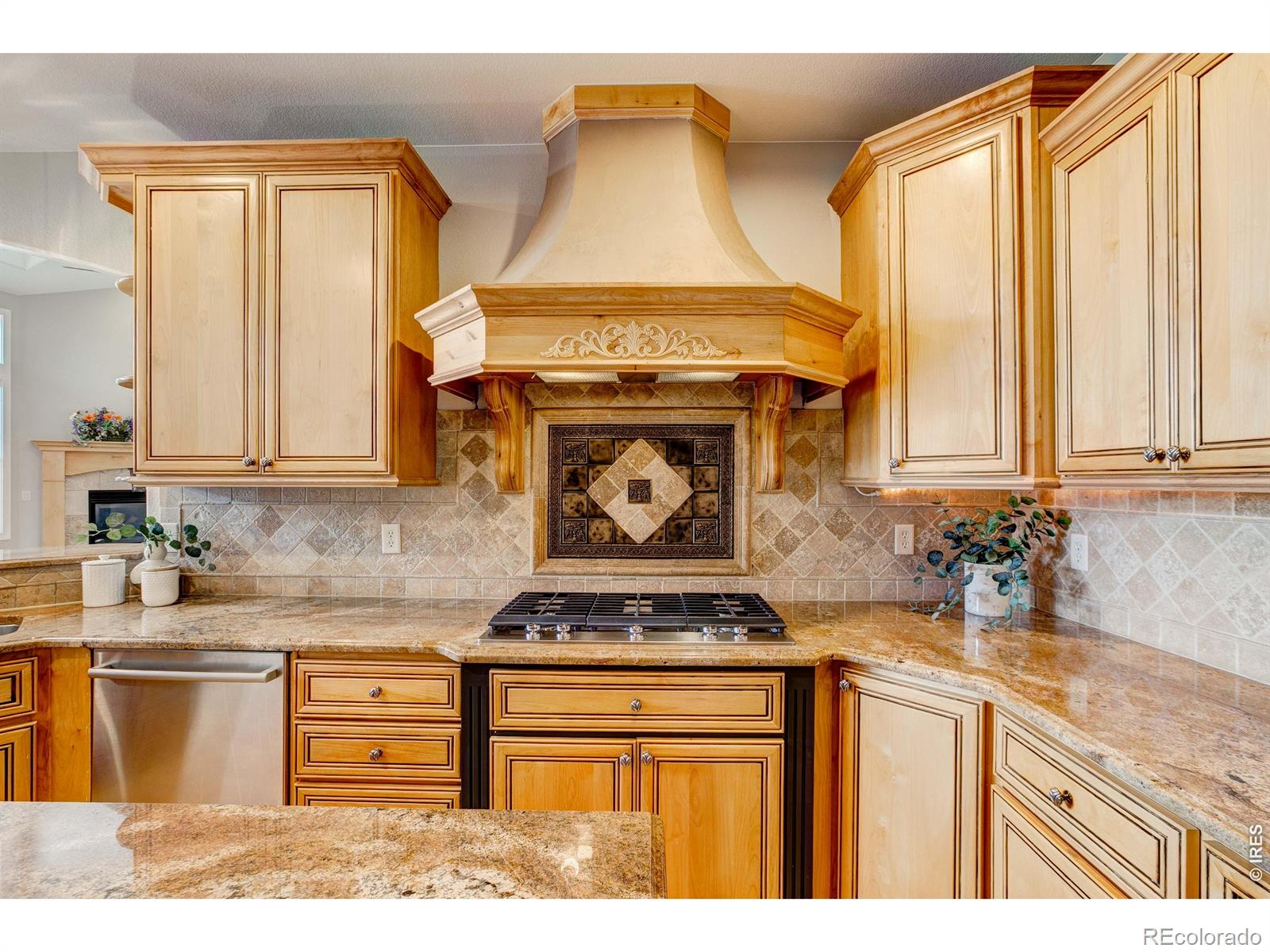 8416 Starfish Court Windsor CO 80528