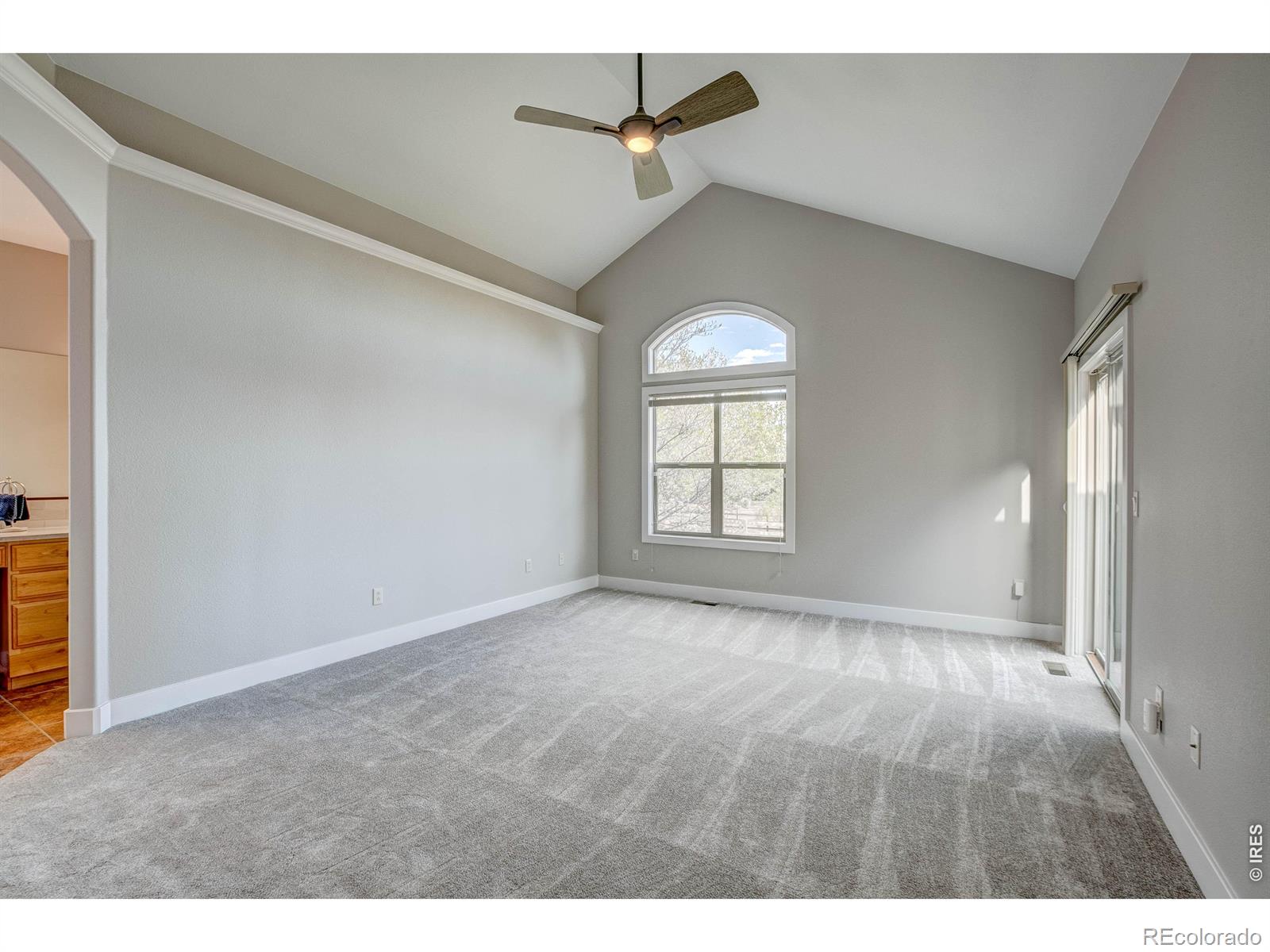 8416 Starfish Court Windsor CO 80528